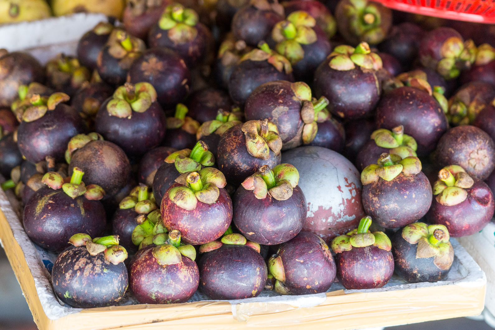 20141117 120938 Hoi An